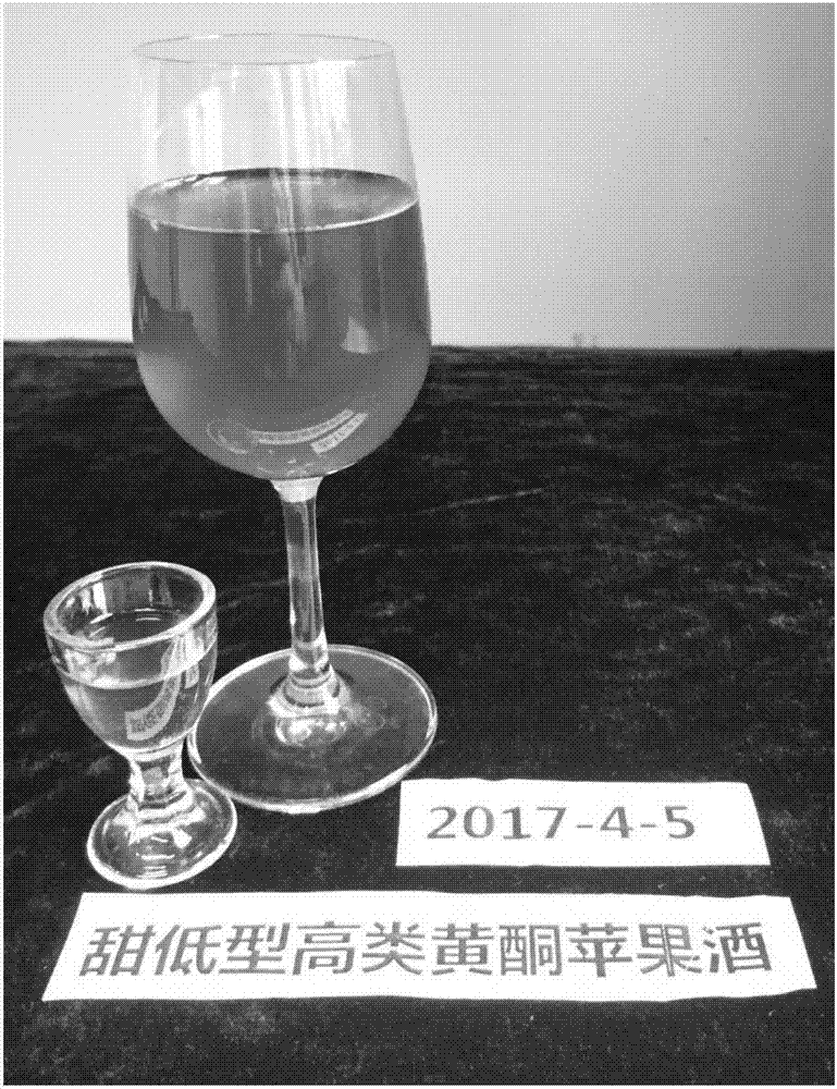 Sweet low-alcohol high-flavonoid cider and method for preparing same