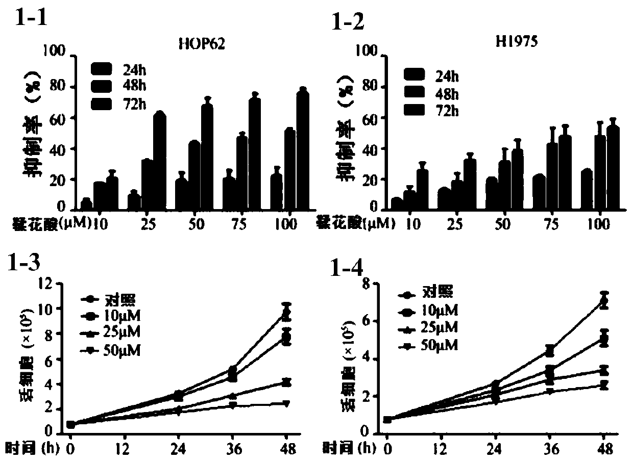 The application of ellagic acid and its synergy with triptolide in the preparation of anti-lung cancer drugs