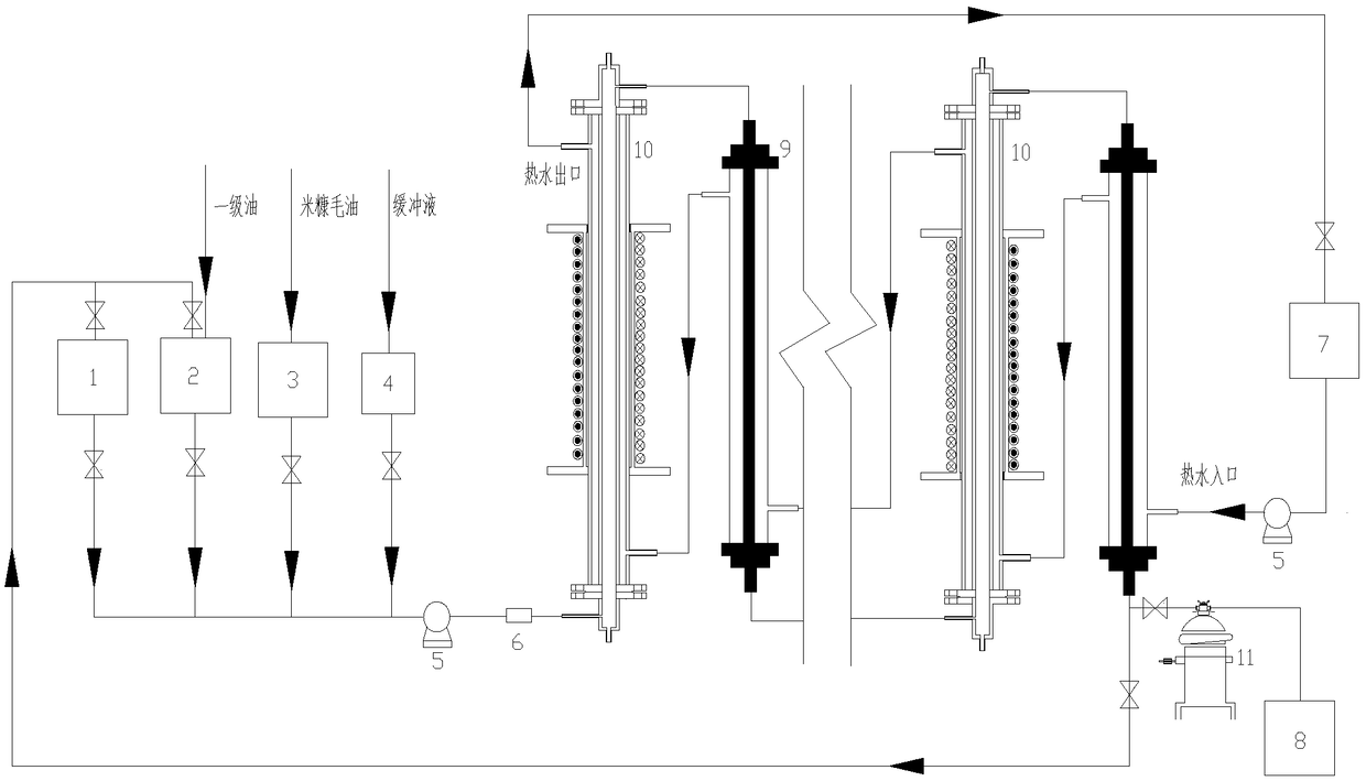 Method for continuously esterifying free fatty acids in crude rice bran oil and removing water from products