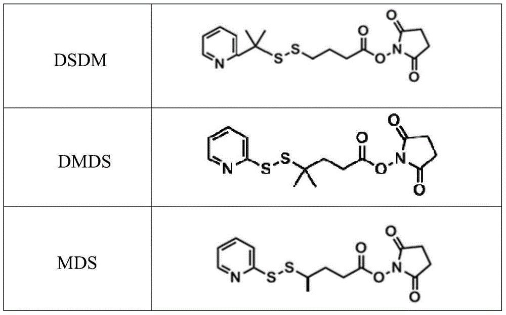 Targeting ligand-drug conjugate having cell endocytosis mediating function