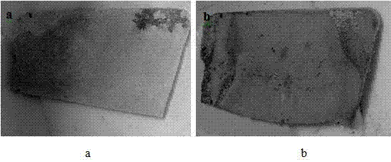 A kind of preparation method of magnesium alloy surface composite film layer