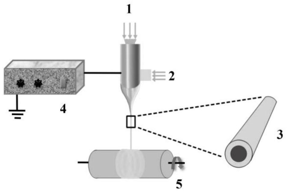 A preparation method of micro-nano-scale oriented fibers with controllable stiffness