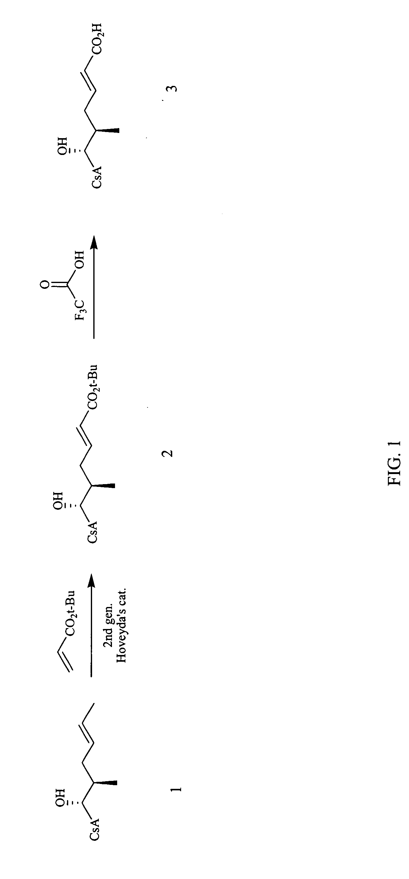 Cyclosporin analogs for the treatment of immunoregulatory disorders and respiratory diseases