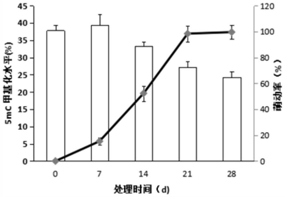 A method for promoting flower bud germination and branch growth of off-season peony
