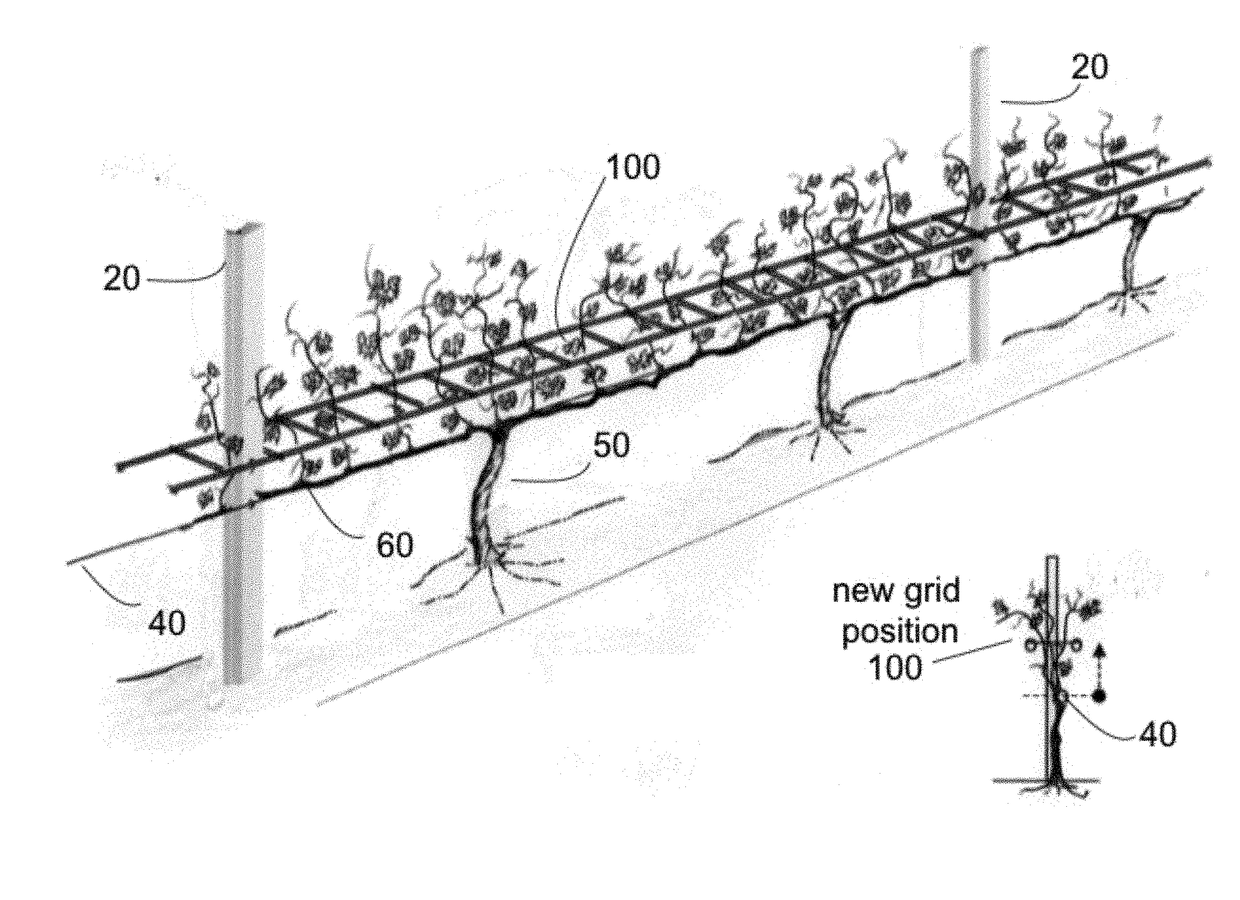 Grid Shoot Positioning System for Grape Vines