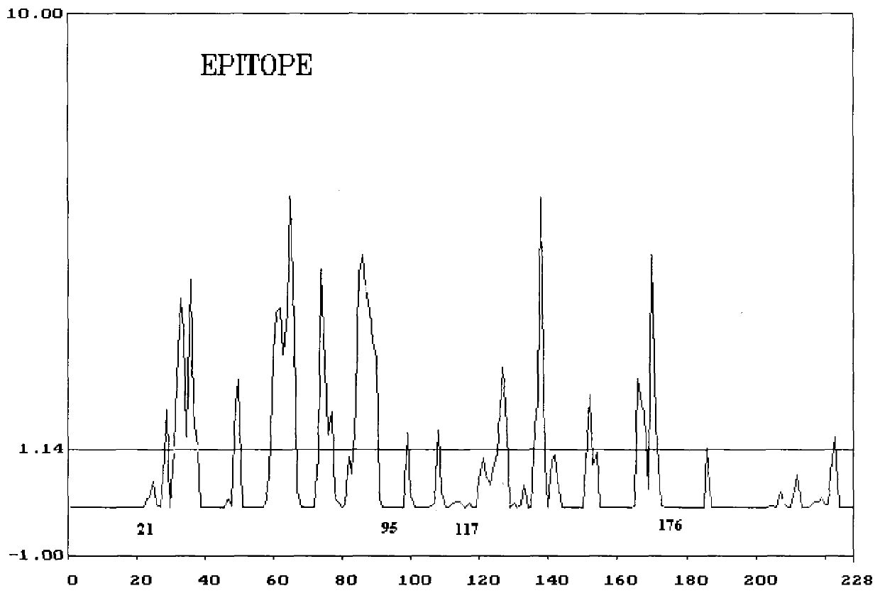 Polypeptide composition and application thereof in detecting tuberculosis antibody