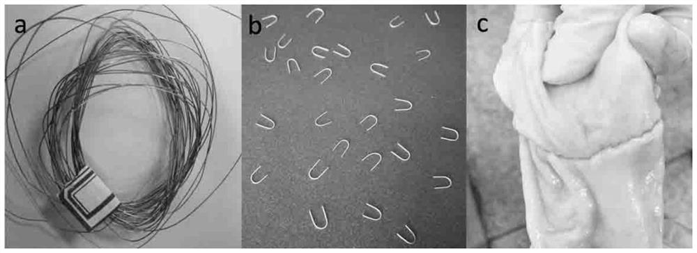 A kind of fe-mn-cu-c alloy and its medical application