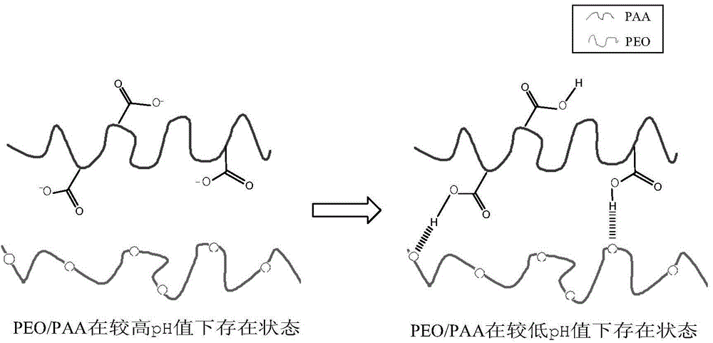 Preparation method of macromolecular hydrogen bond compound fiber