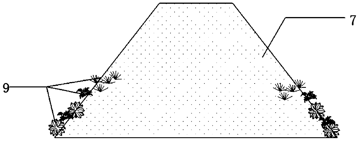 Construction method and application of coastal wetland protection and restoration system