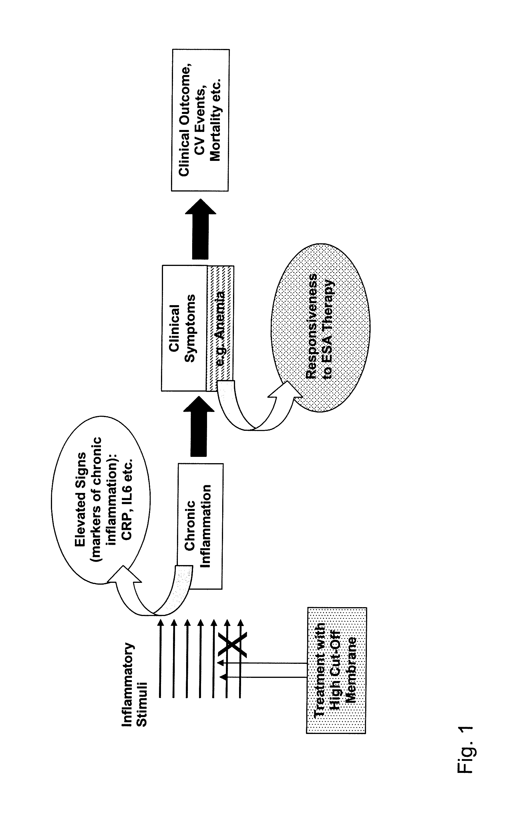 Method for Treating Anemia in Hemodialysis Patients