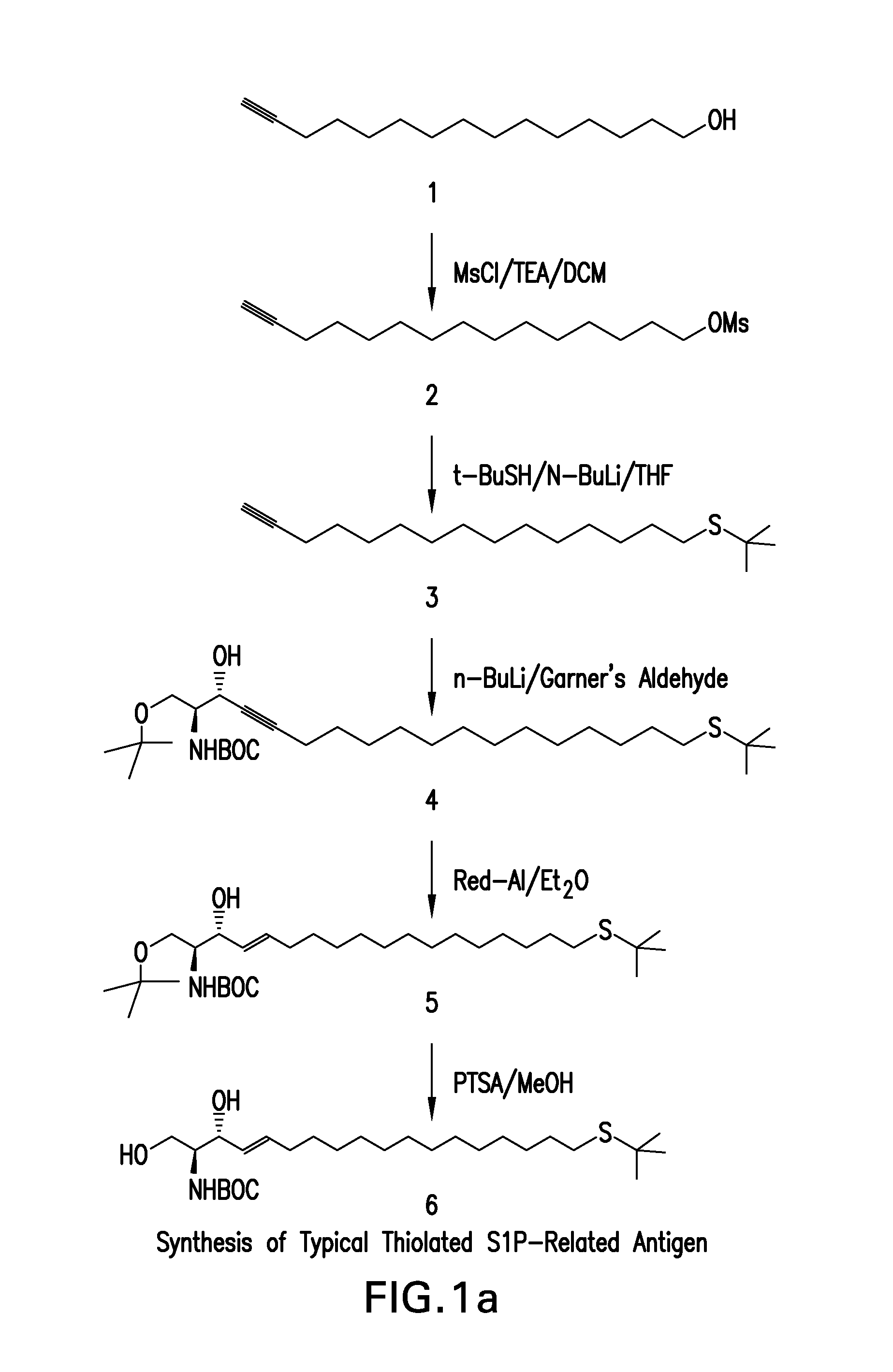 Humanized antibody compositions and methods for binding lysophosphatidic acid