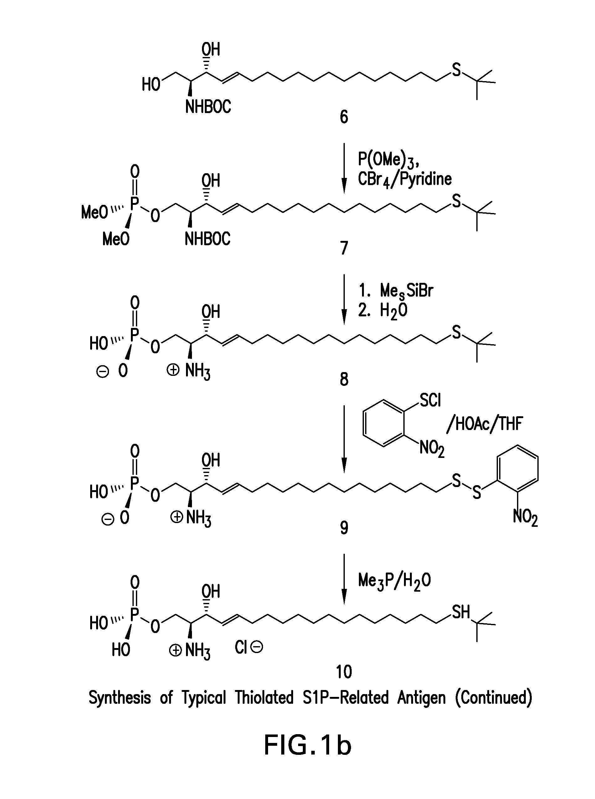 Humanized antibody compositions and methods for binding lysophosphatidic acid