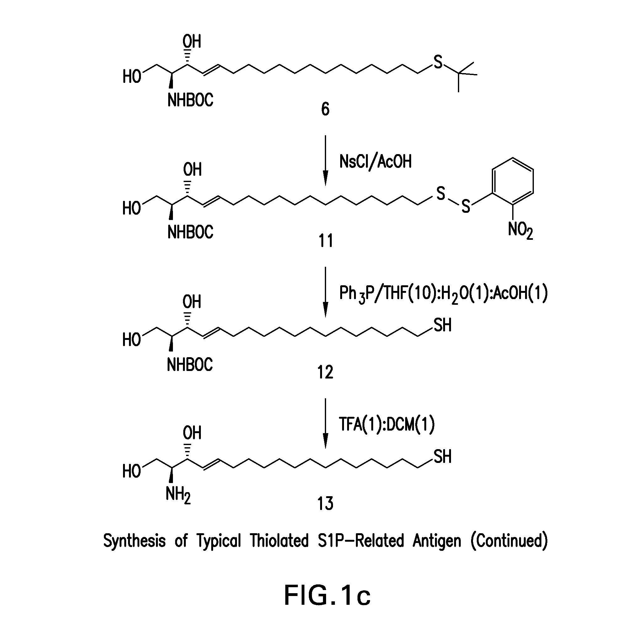 Humanized antibody compositions and methods for binding lysophosphatidic acid