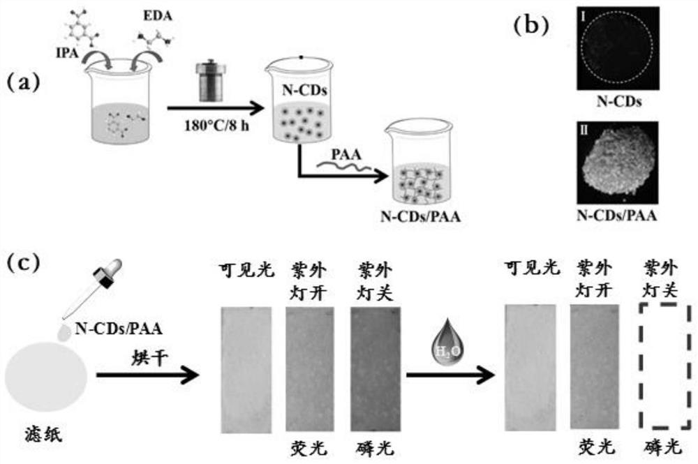 Carbon dot-based room-temperature phosphorescence test strip as well as preparation method and application thereof