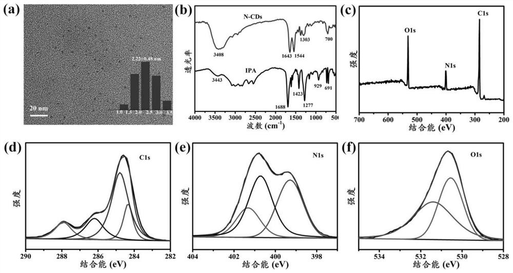 Carbon dot-based room-temperature phosphorescence test strip as well as preparation method and application thereof