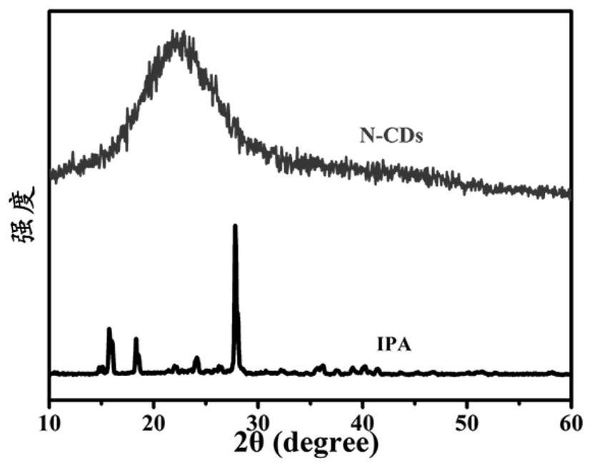 Carbon dot-based room-temperature phosphorescence test strip as well as preparation method and application thereof