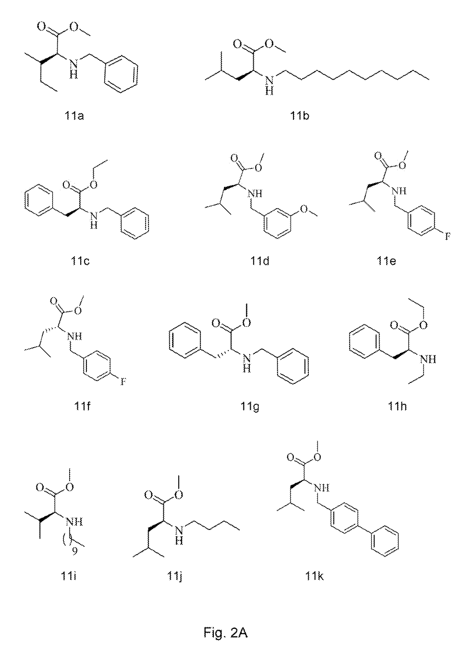 Analogs of tetramic acid