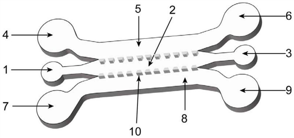 Bionic micro-fluidic chip for simulating pathological blood-brain barrier based on fibrous protein gel and construction method of bionic micro-fluidic chip