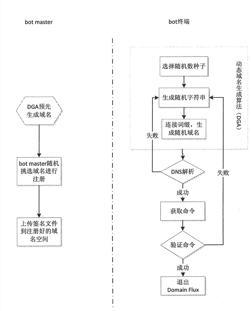 Detection system and method of Domain Flux data stream