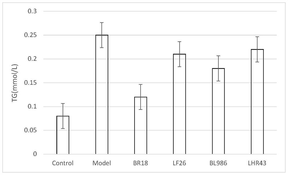 A kind of Bifidobacterium breve and its application in the preparation of non-alcoholic fatty liver functional drink