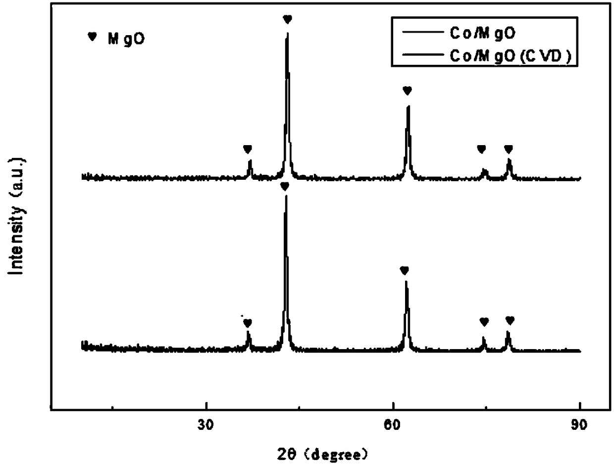 Cobalt catalyst for preparation of single-walled carbon nanotubes and preparation method and application of cobalt catalyst