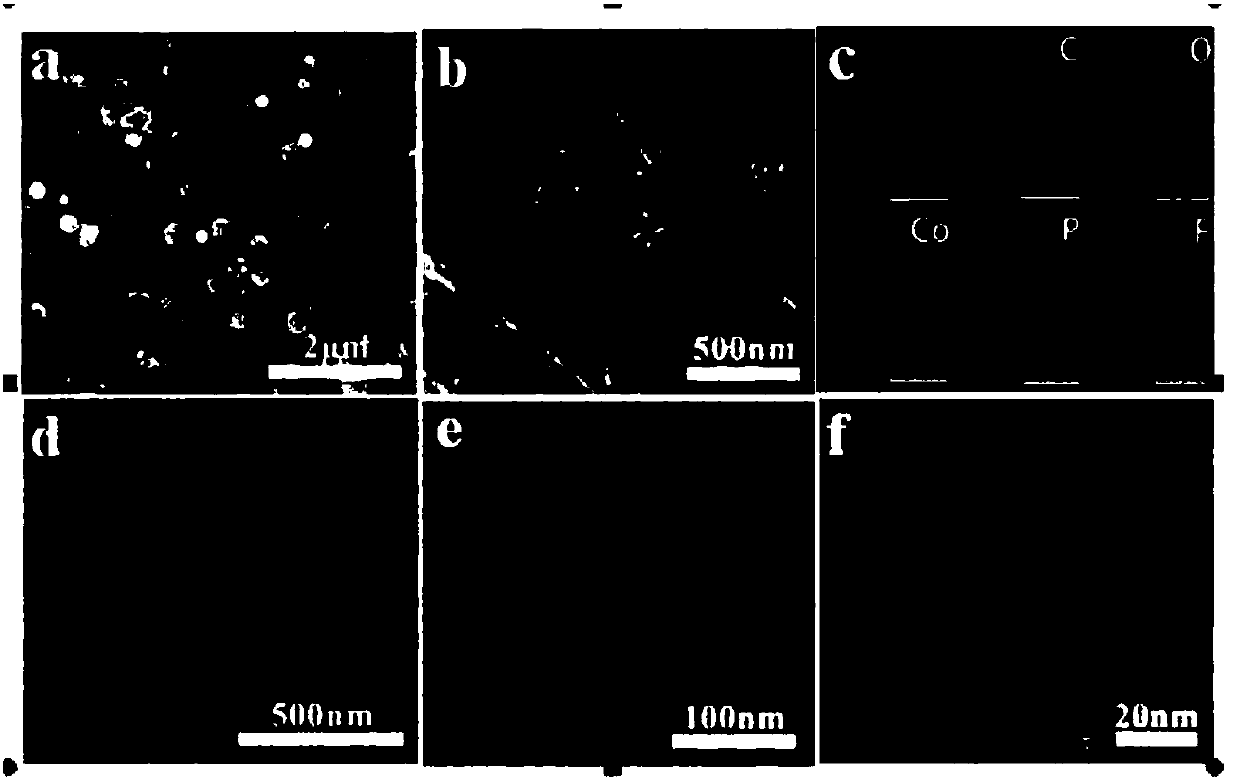 Multi-duct transition metal phosphide carbon nanotube composite material and preparation method and application based on small molecule regulation