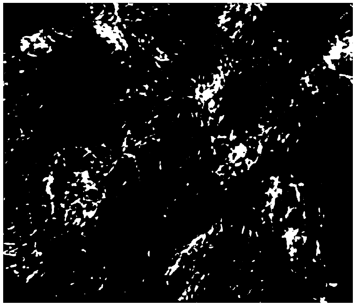 A kind of polyimide conductive pulp with light weight, high temperature resistance and high specific surface area and preparation method thereof