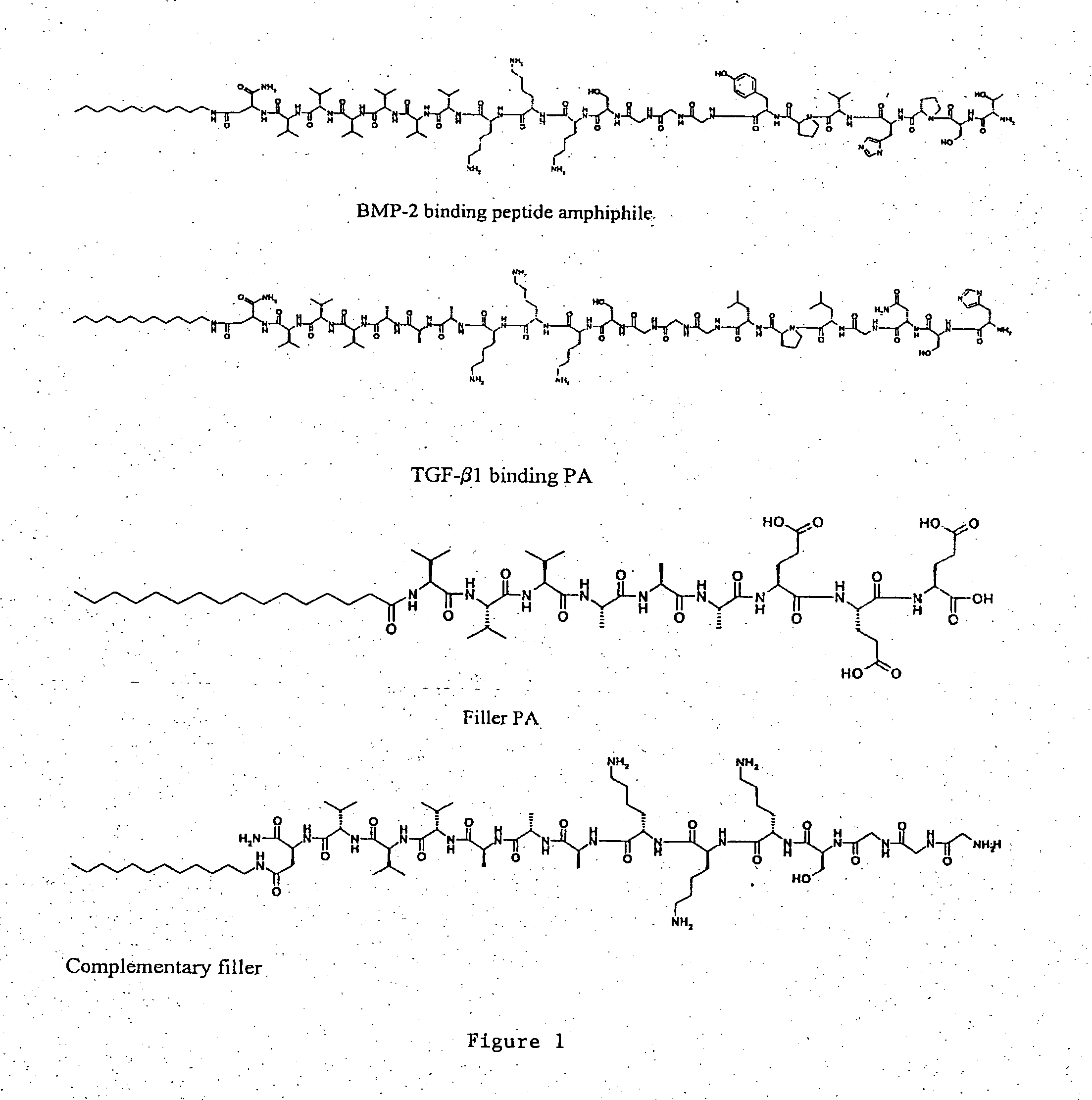Self-assembling peptide amphiphiles and related methods for growth factor delivery