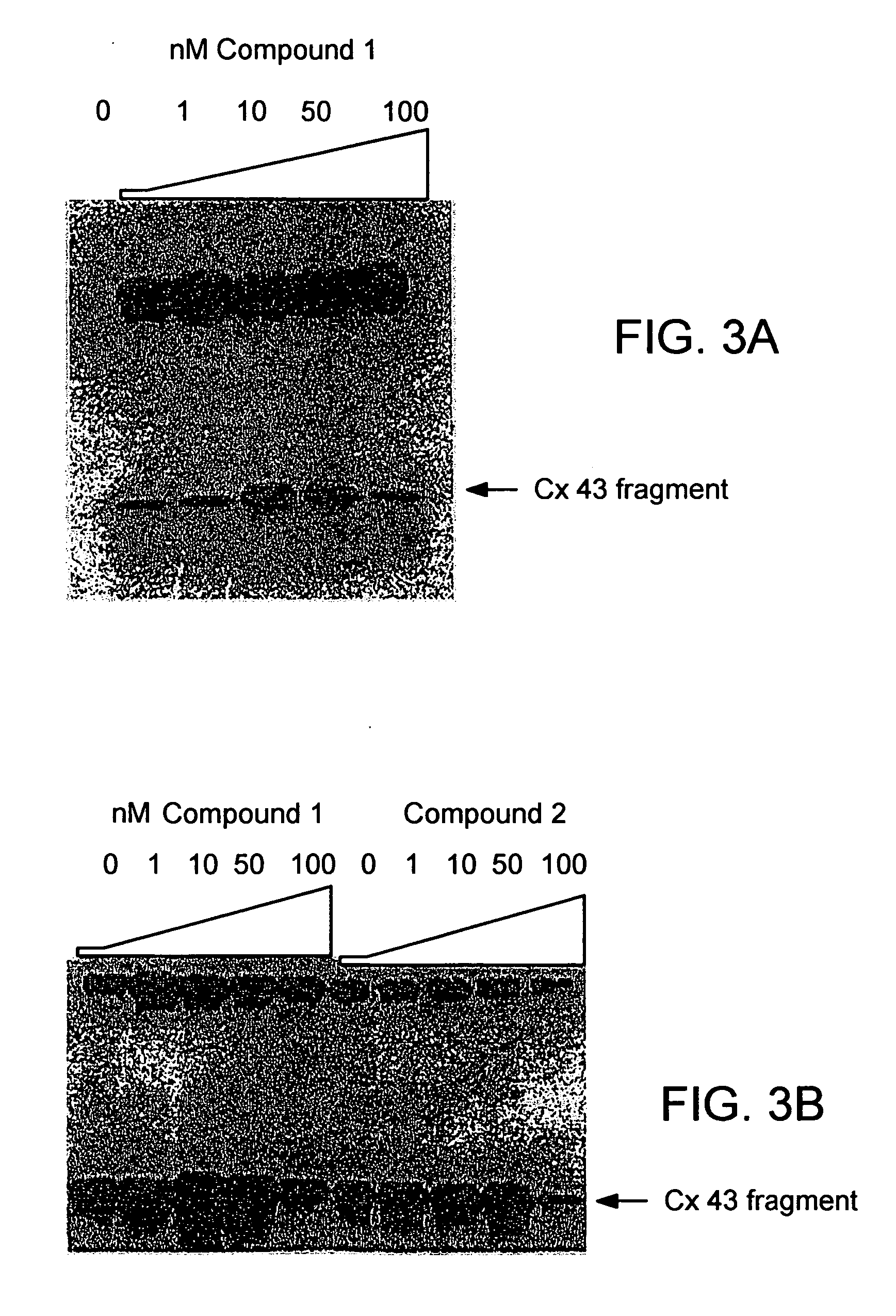 Compositions and methods for modulating connexin hemichannels