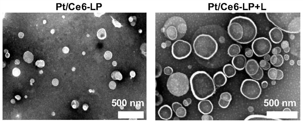 Photosensitive liposomes and their applications