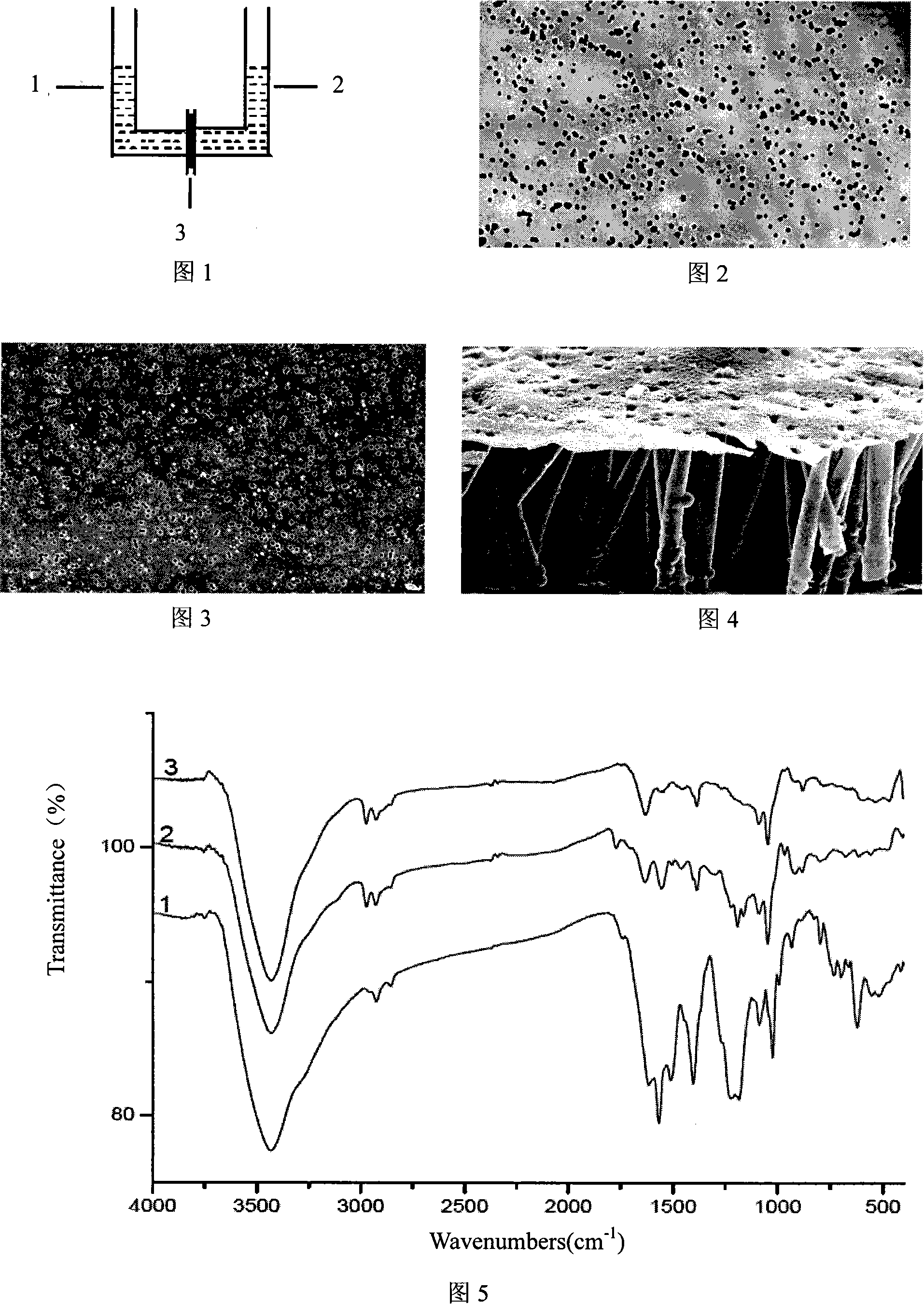 Method for preparing polypyrole-polycarbonate composite membrane fixed and carried cibacron blue