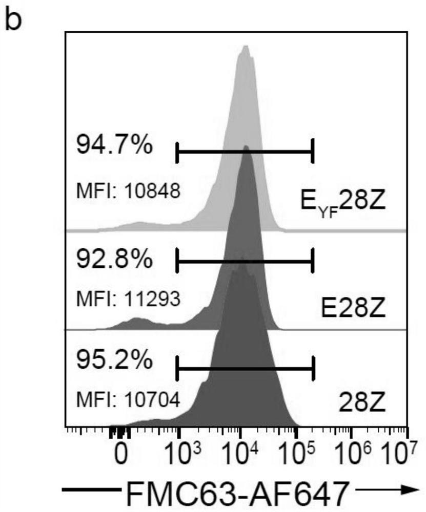 Chimeric antigen receptor containing CD3 epsilon intracellular region with Y/F mutation and application of chimeric antigen receptor