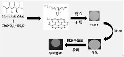 Preparation and application of rare earth fluorescent material for detecting heavy metal Cu&lt;2+&gt;