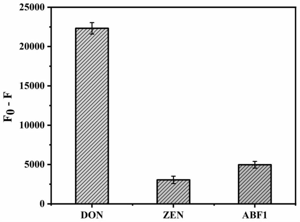 Method for detecting deoxynivalenol by using GelRed-based non-labeled nucleic acid aptamer sensor and application thereof