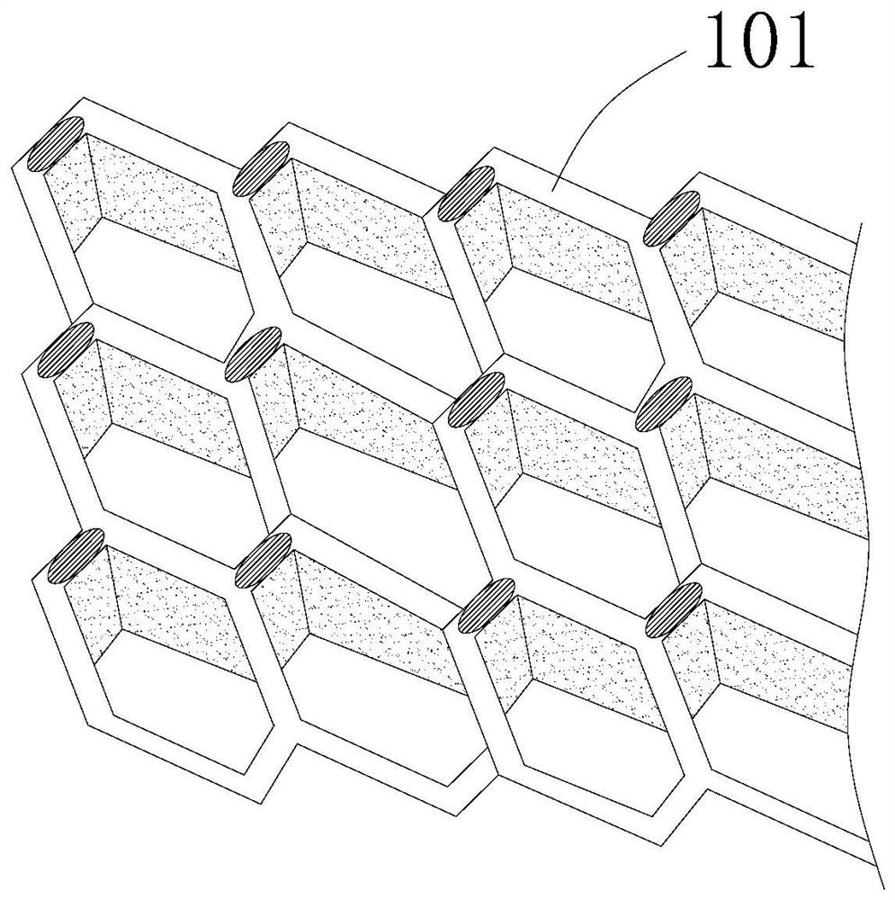 Preparation method of orbital implant based on beta-tcp material