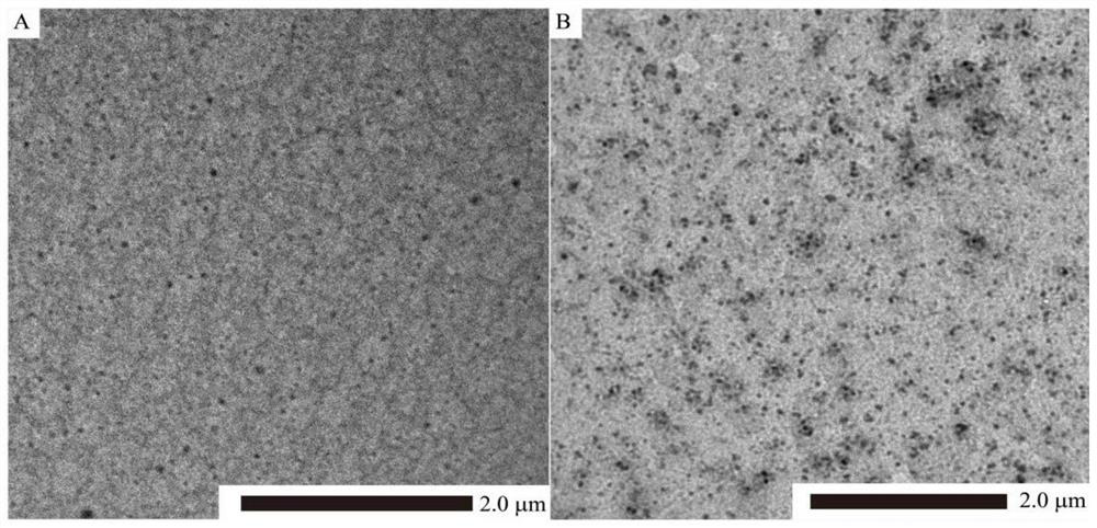 Responsive slow-release type polydopamine-Zn-natural polyphenol coordination nano-drug and preparation method thereof