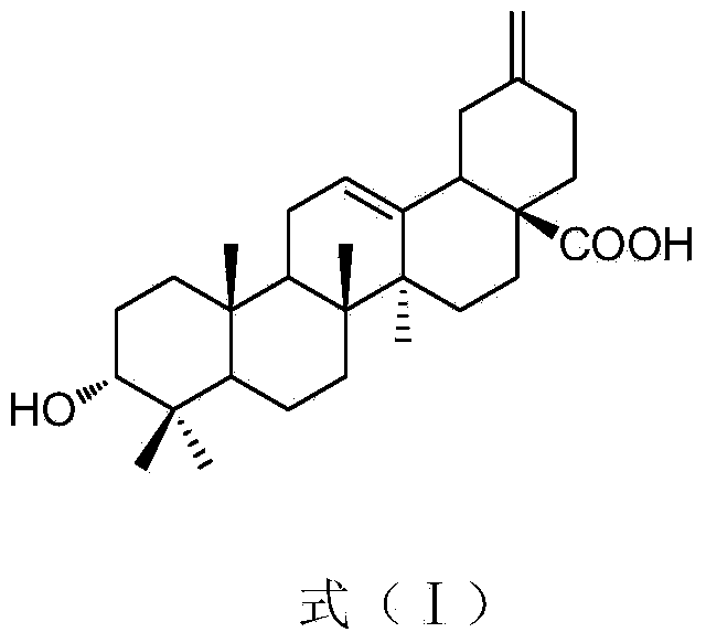 Preparation method for compound 3 alpha-Akebonolic acid and application of compound to preparation of glycosidase inhibitor drug