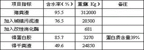 Method for extracting albumin glue from pig dung residues and preparing biomass energy