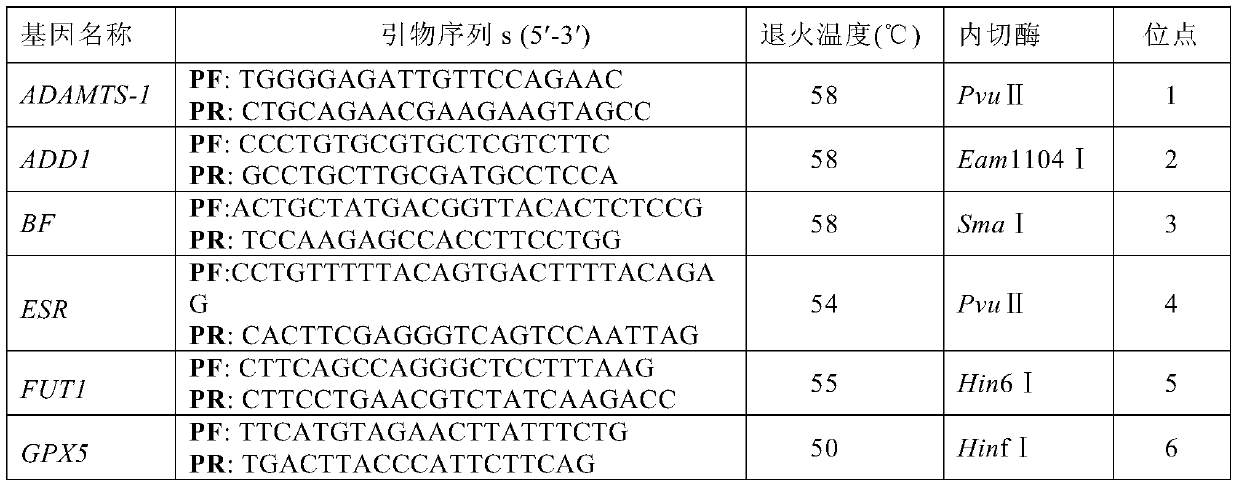 SNP molecular markers for traceability on pig chromosome 6 and its application