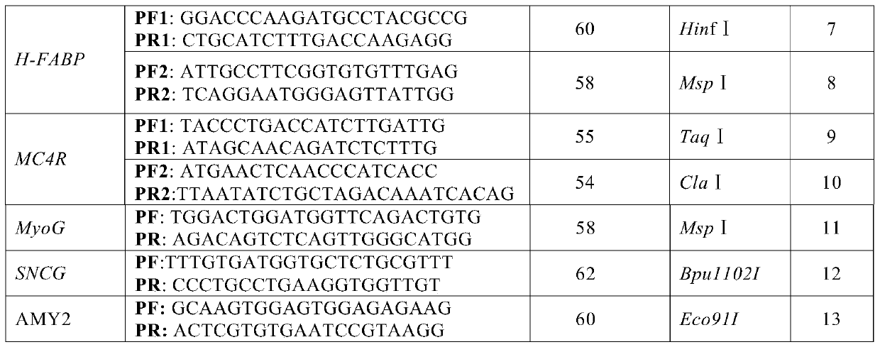 SNP molecular markers for traceability on pig chromosome 6 and its application