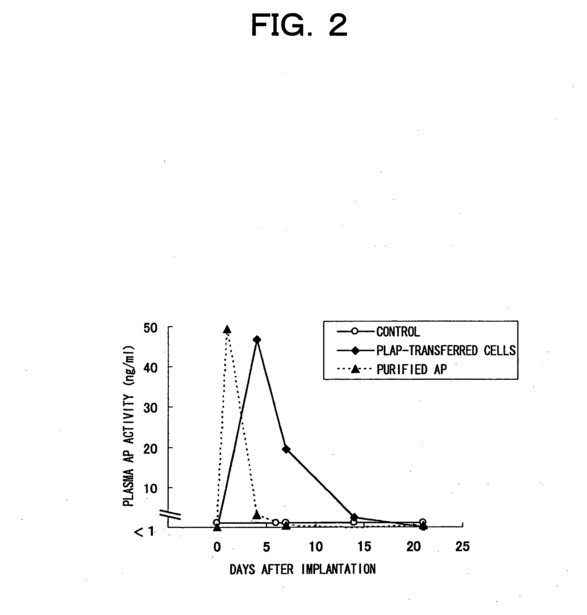 Primarily cultured adipocytes for gene therapy