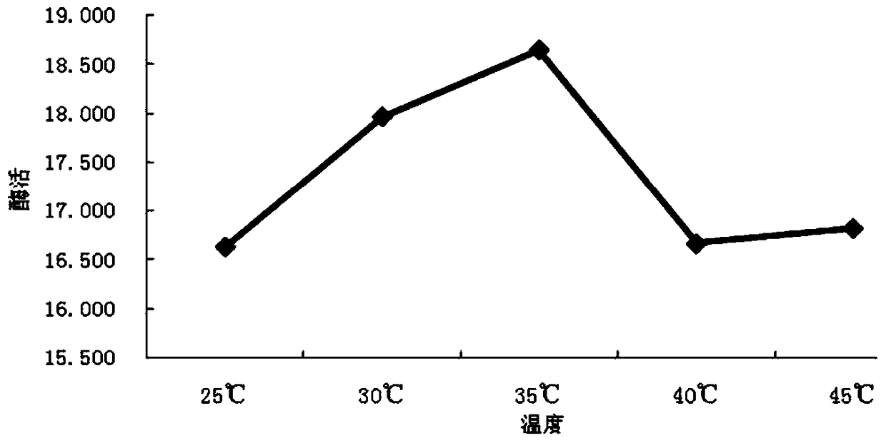 A method for degrading aflatoxin in peanut meal by black sesame solid fermentation