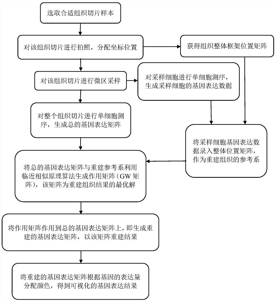 Spatial transcriptome constructing method