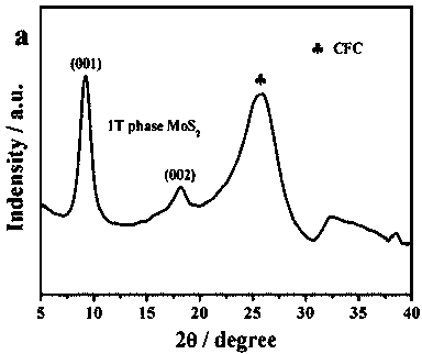 Synthesis method of 1T-phase molybdenum disulfide/carbon fiber cloth nano composite material