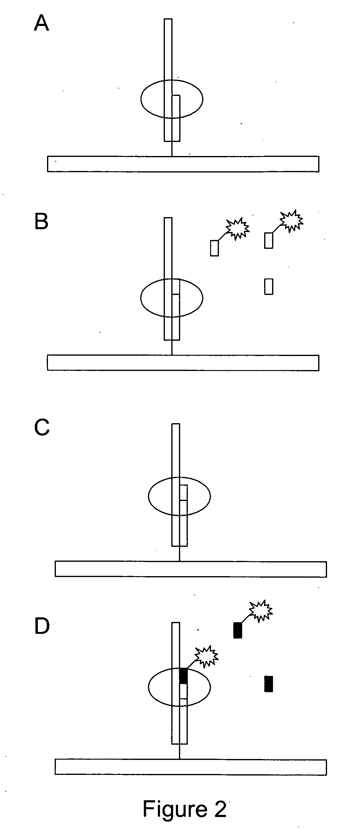 Nucleotide compositions and uses thereof