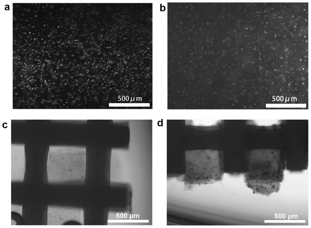 Photosensitive composite bio-ink for 3D printing and preparation method thereof