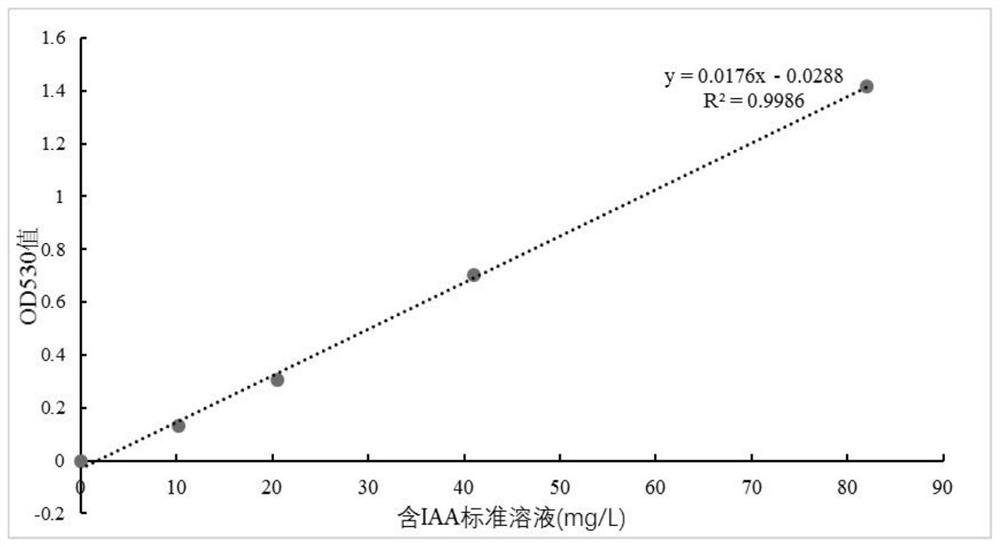 A kind of saline-alkali-resistant bacterial strain kj-1 producing indole acetic acid and its application