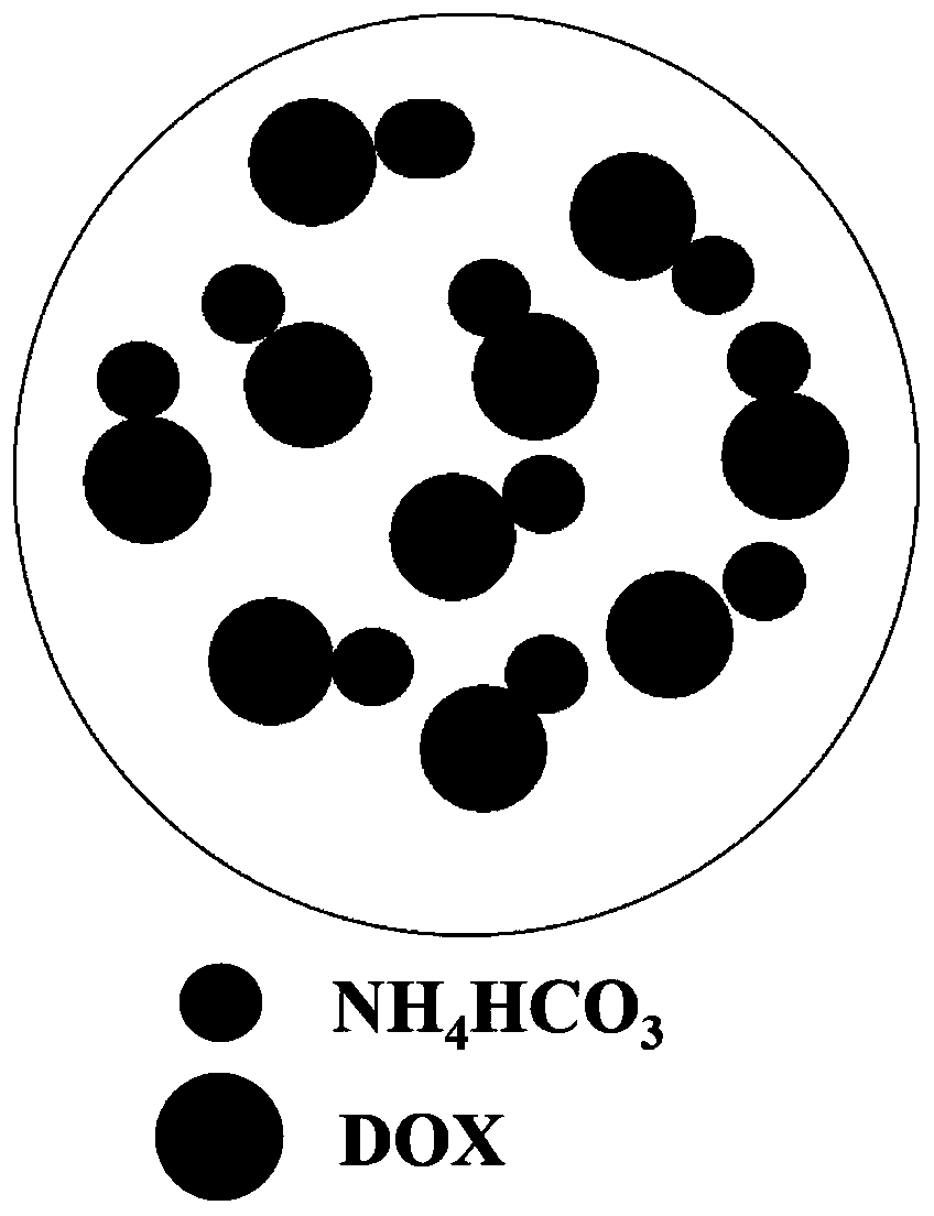 Drug-loaded hybrid nanoparticles and preparation method thereof