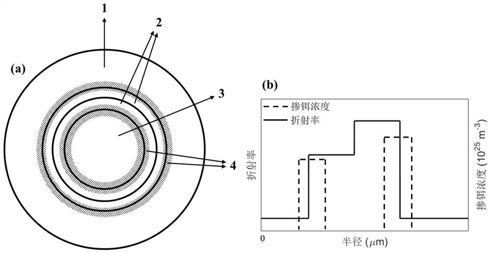 Multi-parameter optimized orbital angular momentum erbium-doped optical fiber