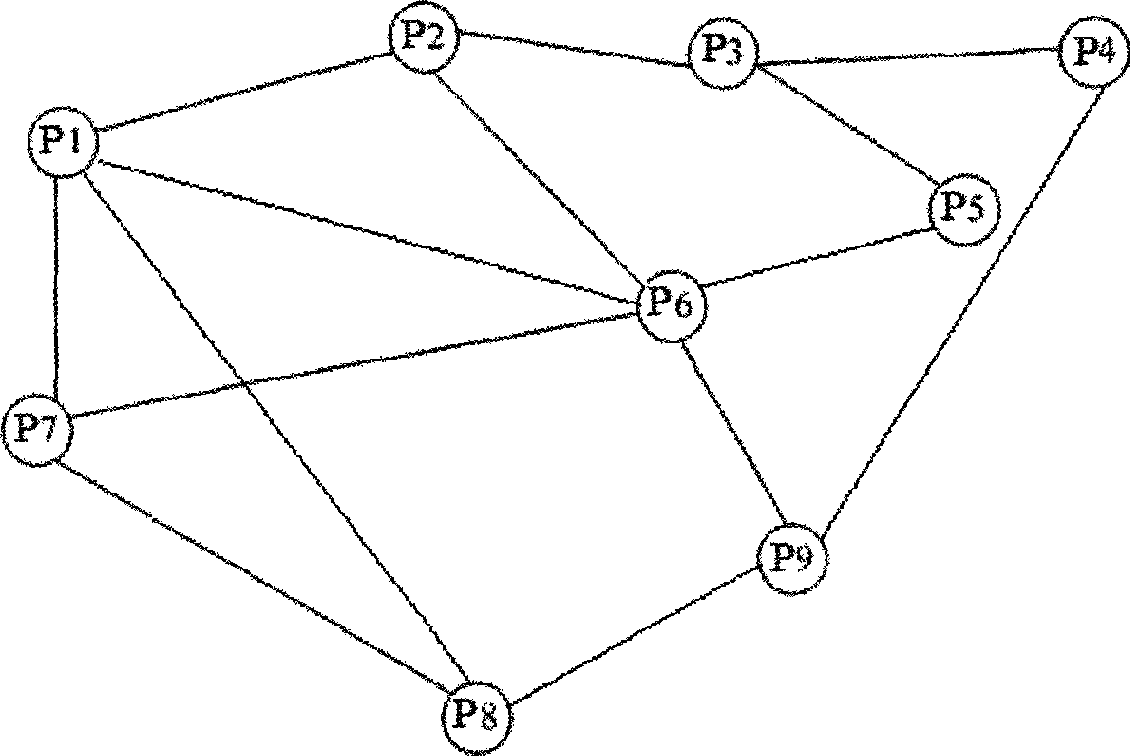 Hybrid layering P2P static network